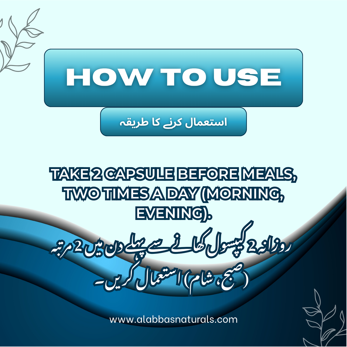 Natural Diabetes Control - Capsules