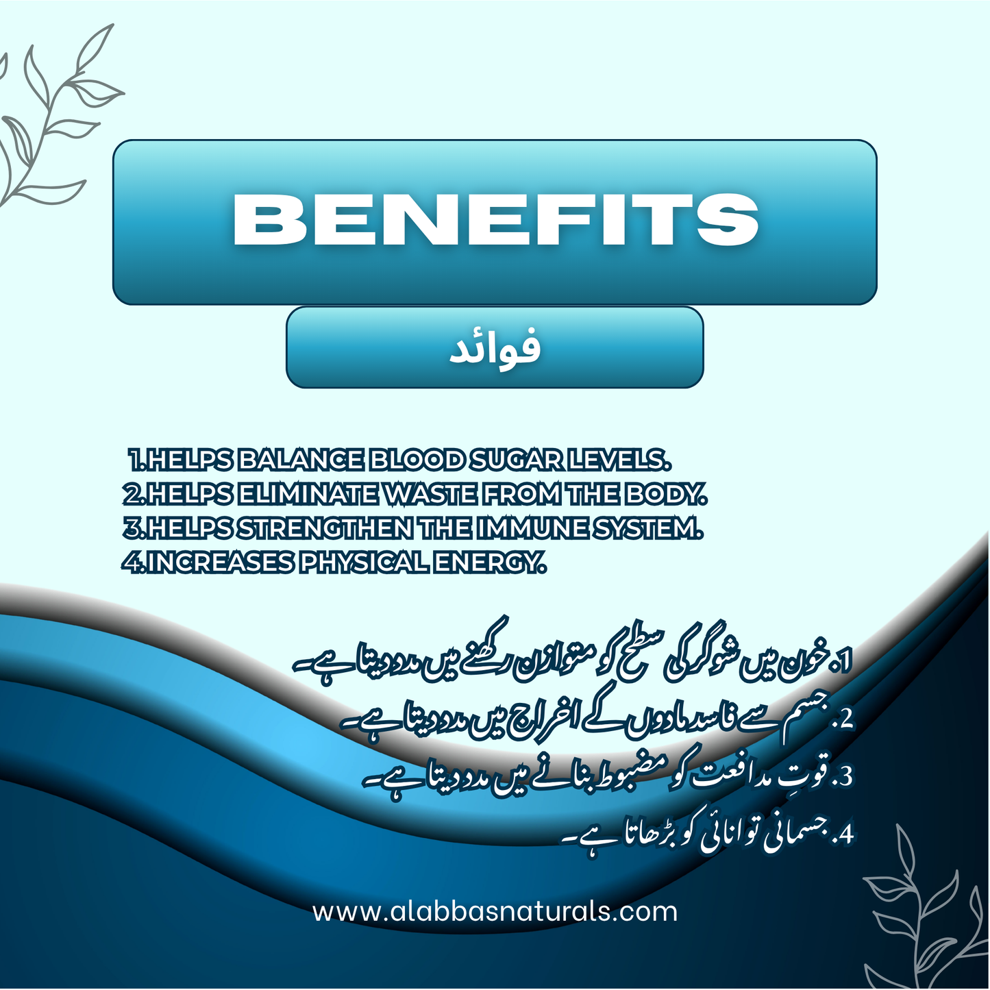 Natural Diabetes Control - Capsules