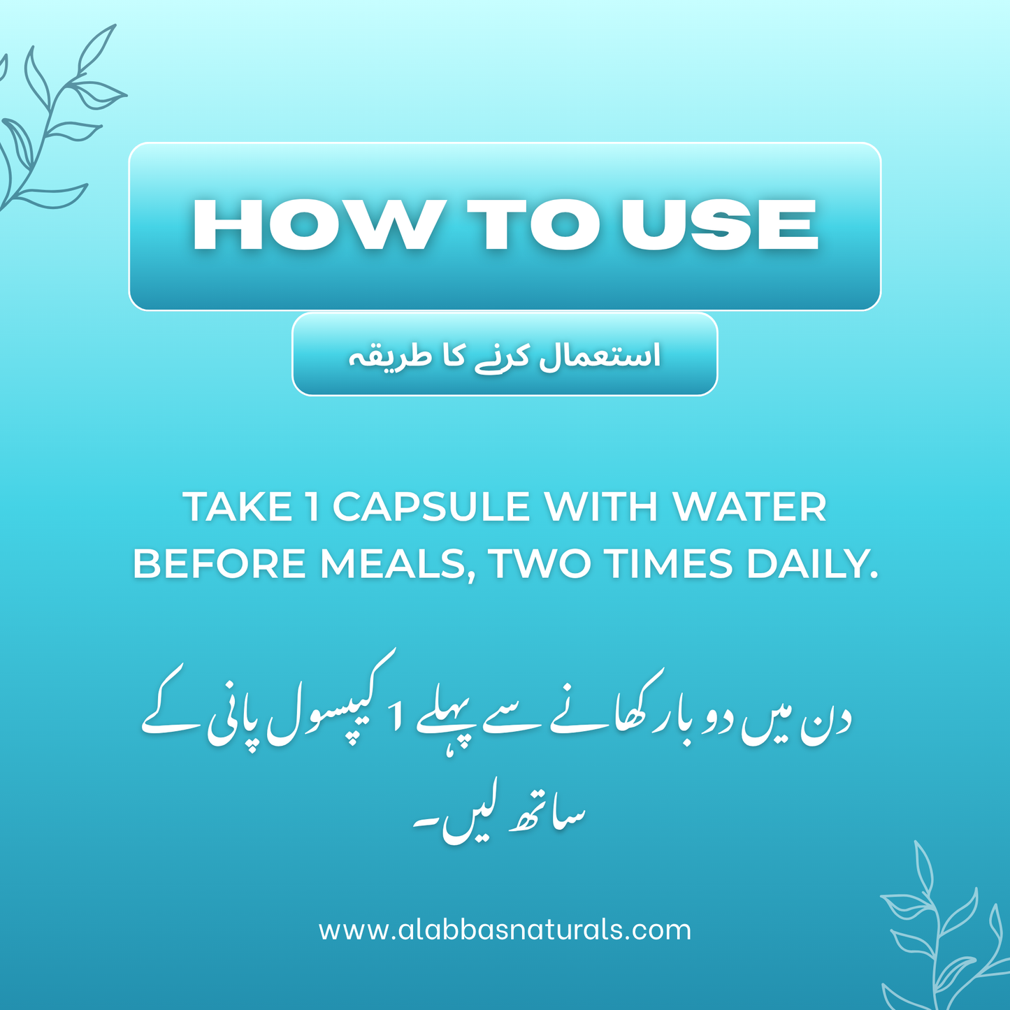 Stomach Acidity Relief - Capsules