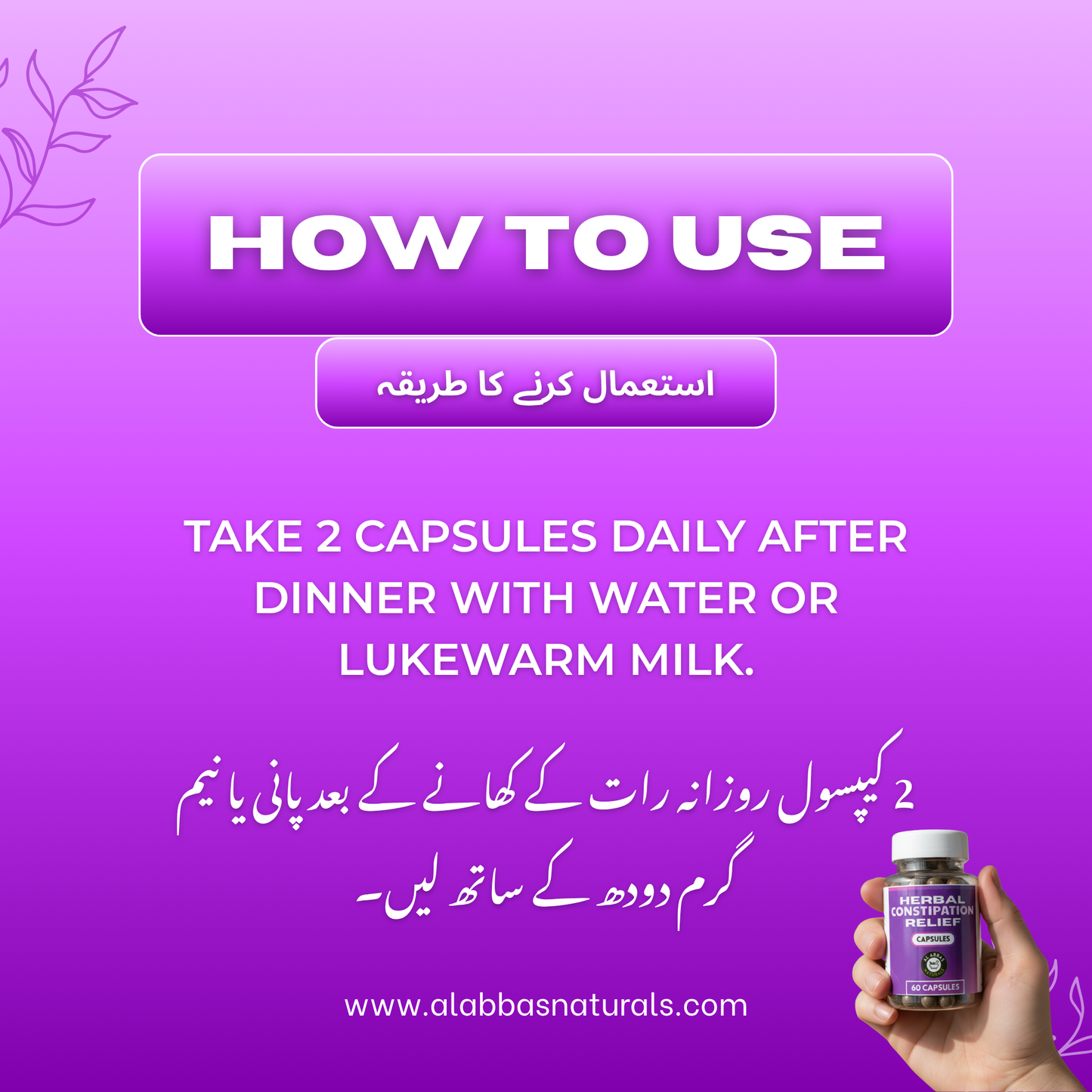 Complete Digestive Care - Bundle