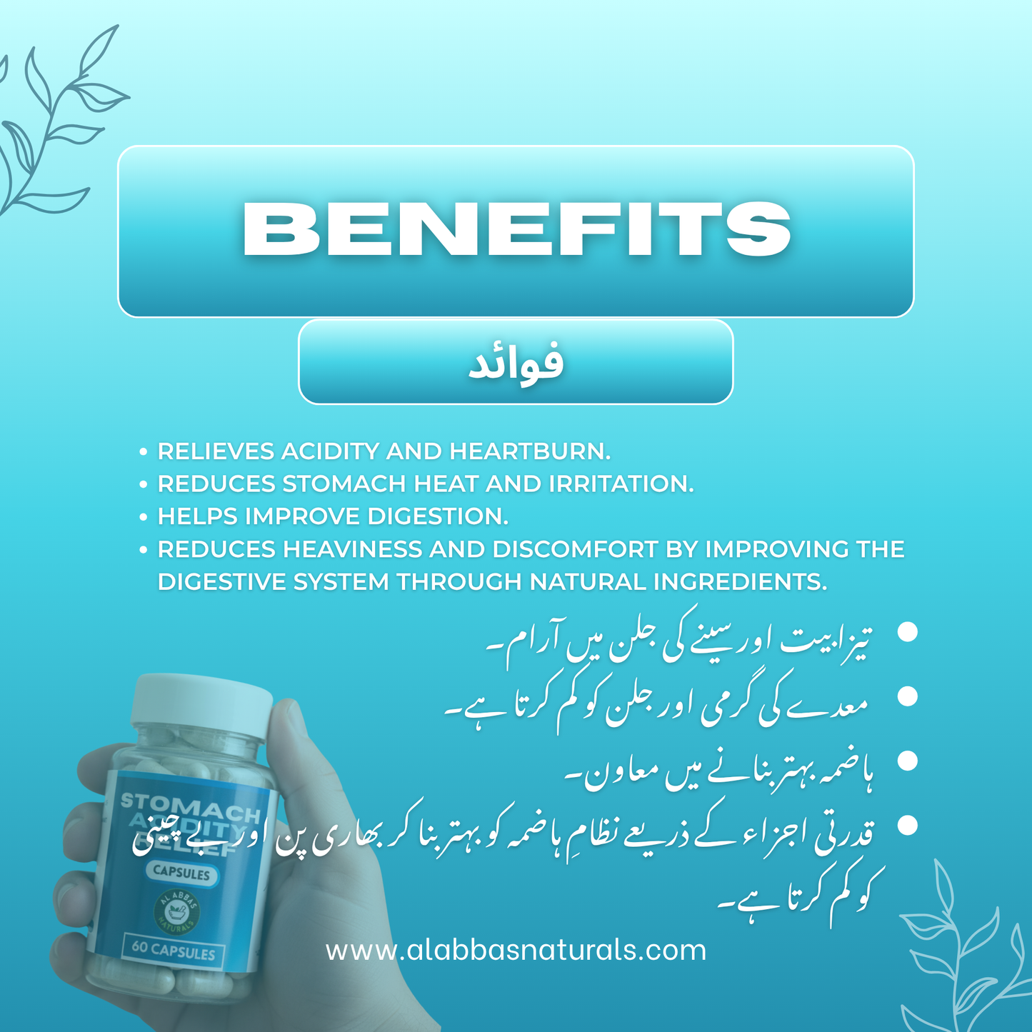 Complete Digestive Care - Bundle