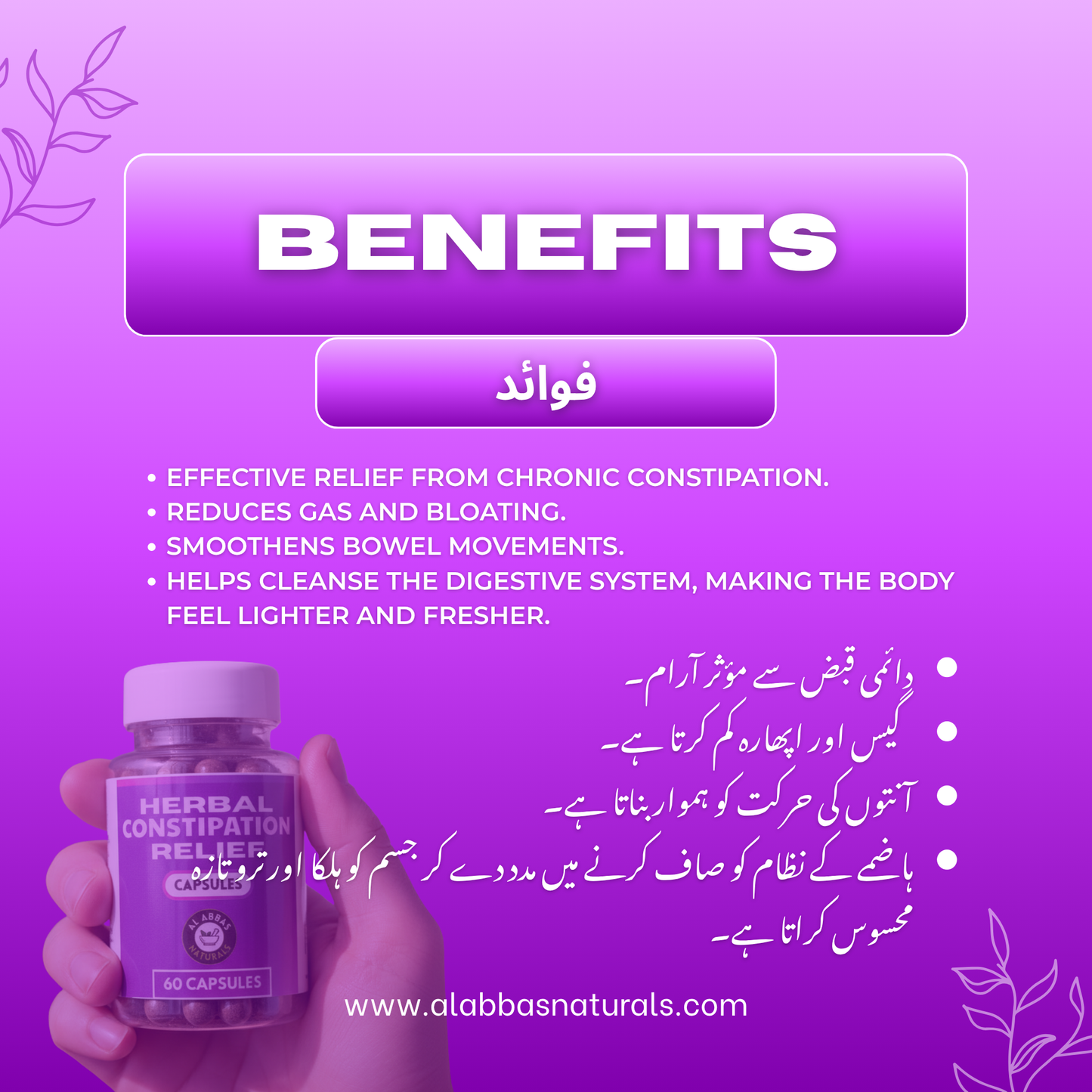 Complete Digestive Care - Bundle