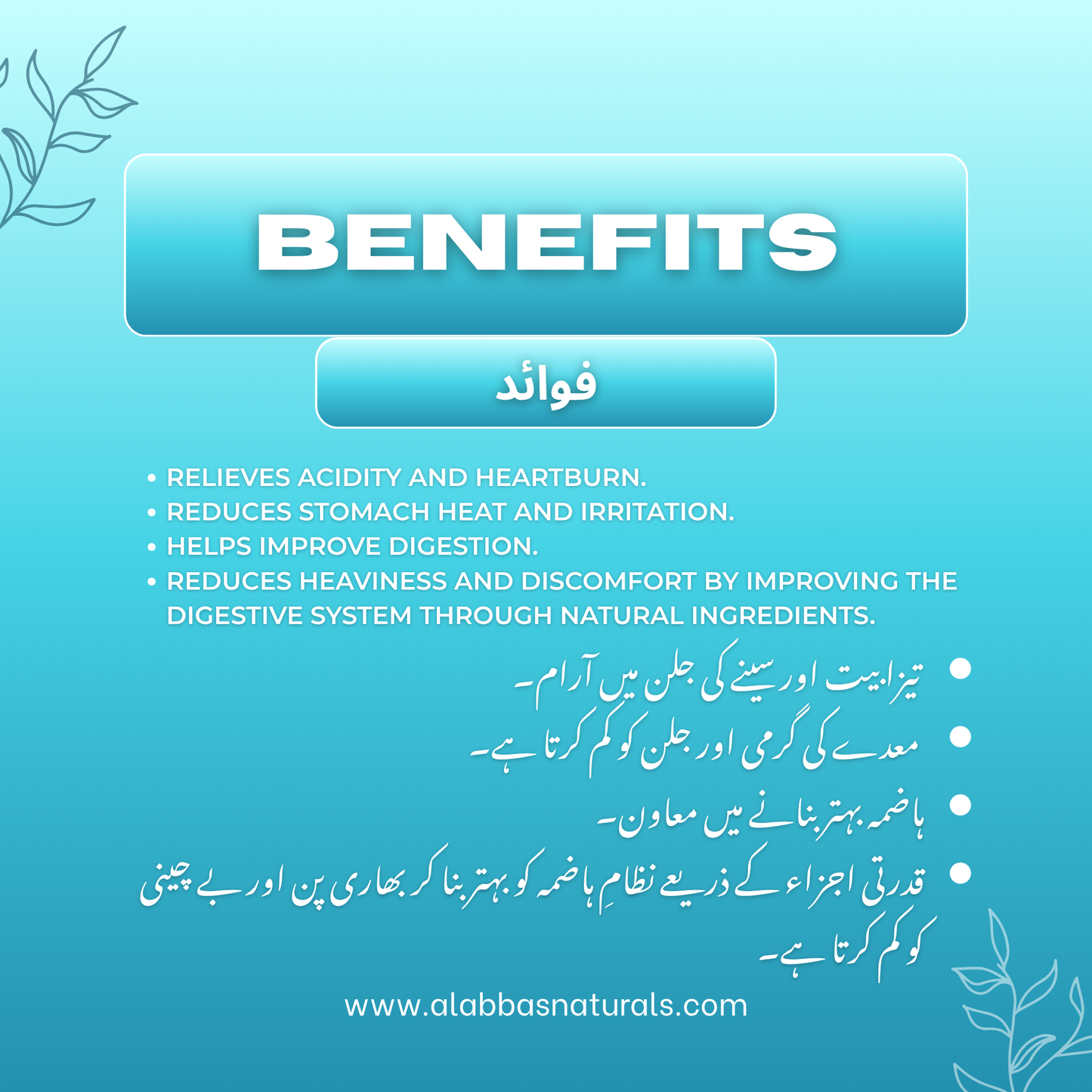 Stomach Acidity Relief - Capsules