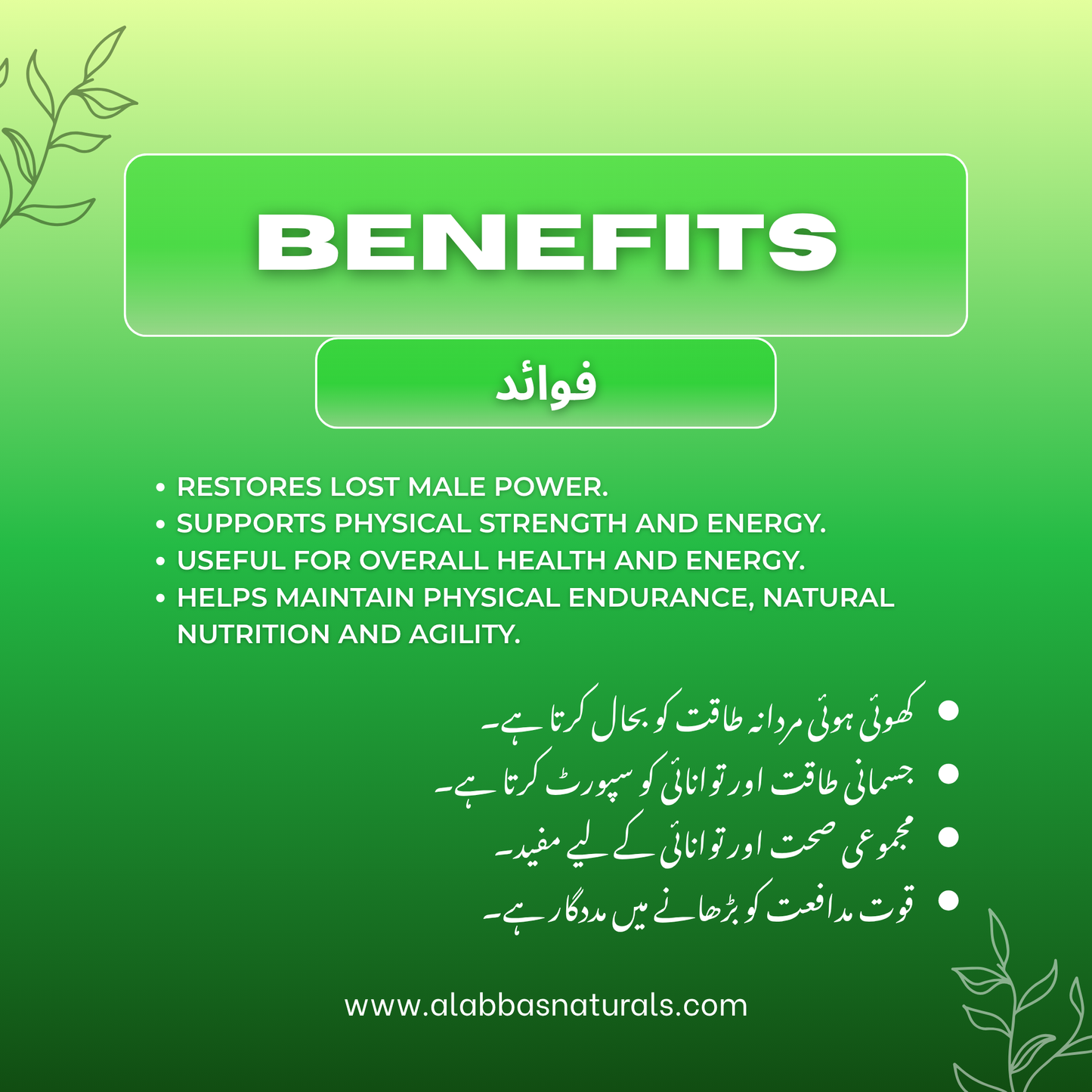 Natural Strength Booster - Powder